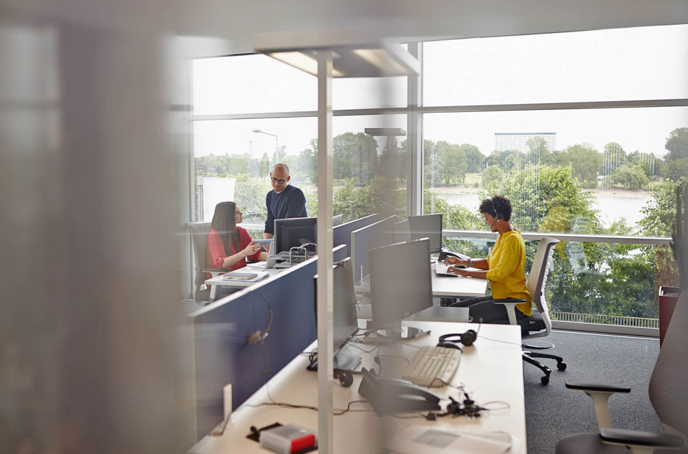 Fraud analysis and collaboration workspace